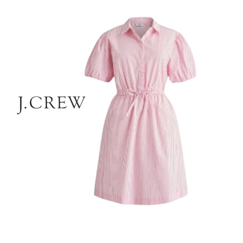 J. Crew NWT Short Sleeved Collared Mini Dress Pink and White Size 18